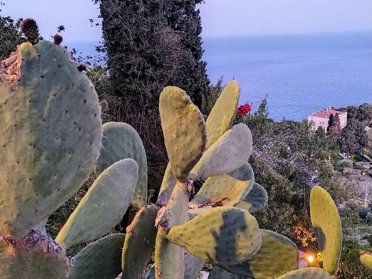 Blue Sky House Bed & Breakfast Taormina Exterior photo